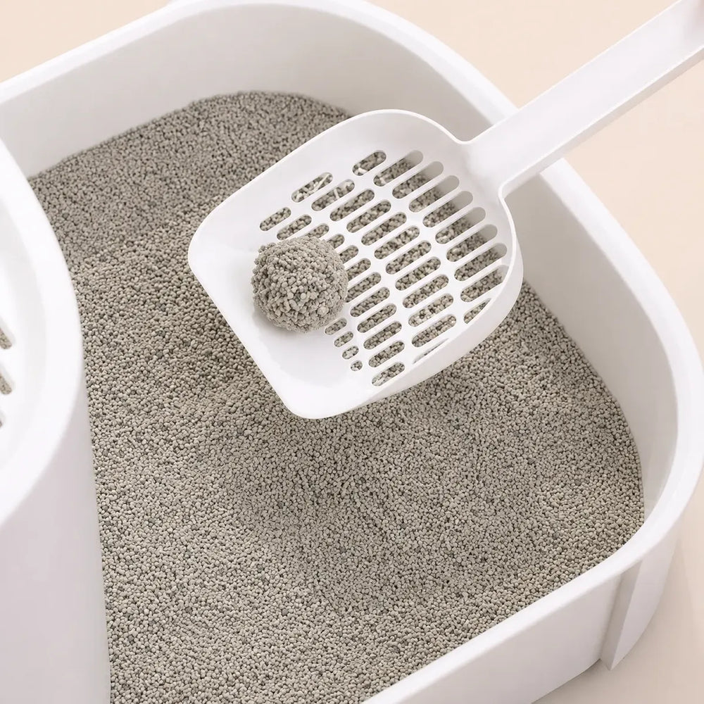 Piedras Sanitarias Para Gatos Bentonita Aglomerante Lemon 5l
