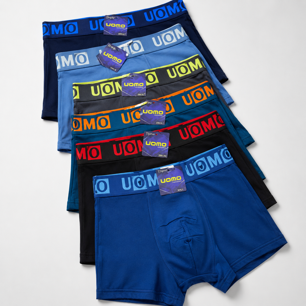 Boxer x12 Kid