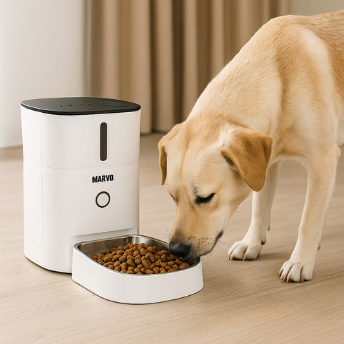 Dispensador Alimentos Mascota Perro Gato Inteligente 3l Blanco