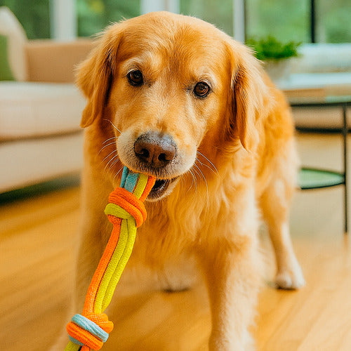 Juguete Para Mascotas Perro Cuerda Premium