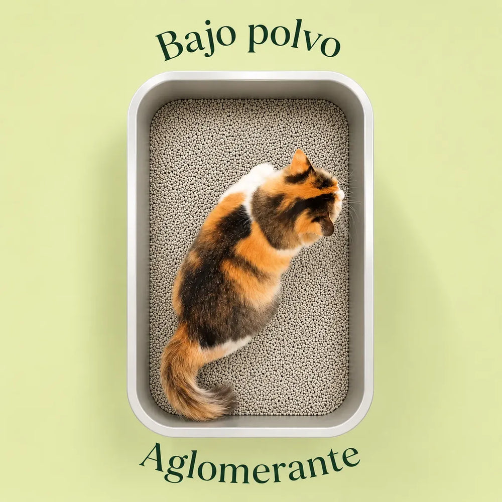 Piedras Sanitarias Para Gatos Bentonita Aglomerante Lemon 5l